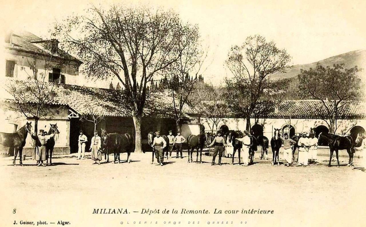 103- Miliana- Depot de la Remonte.jpg